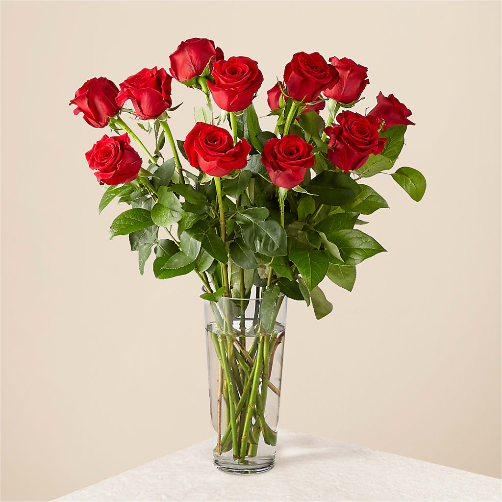 Long Stem Red Rose Bouquet – Nela Park Florist Llc, East Cleveland OH