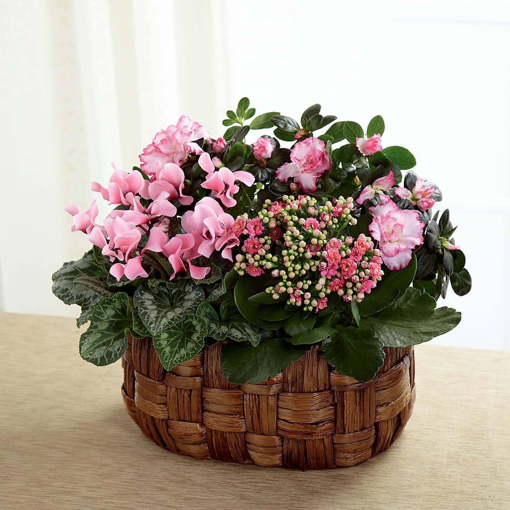 Pink Assortment – Nela Park Florist Llc, East Cleveland OH