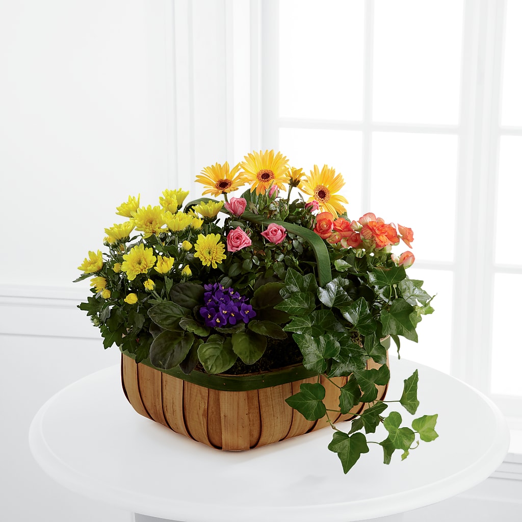 Gentle Blossoms Basket – Nela Park Florist Llc, East Cleveland OH