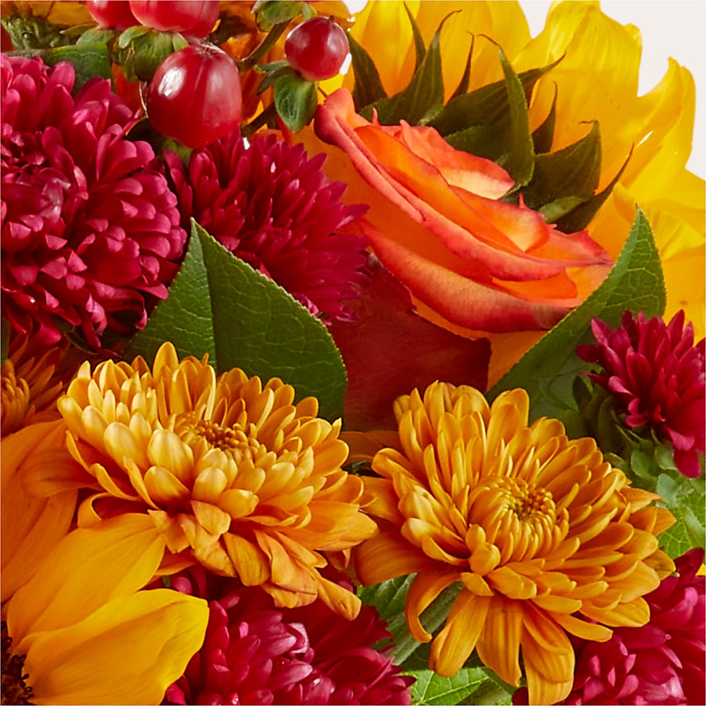Sweater Season - A Florist Original – Nela Park Florist Llc, East Cleveland OH