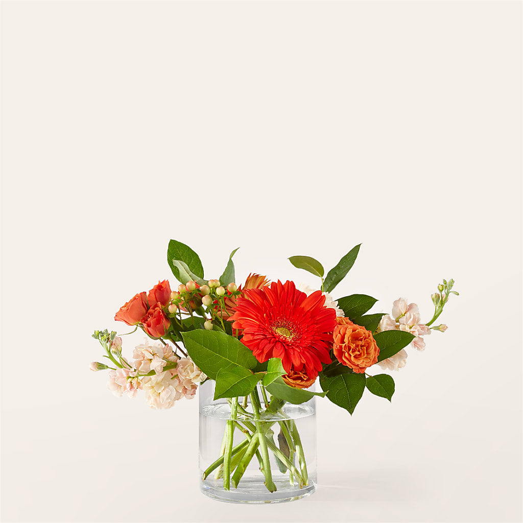 Paloma Please Bouquet – Nela Park Florist Llc, East Cleveland OH