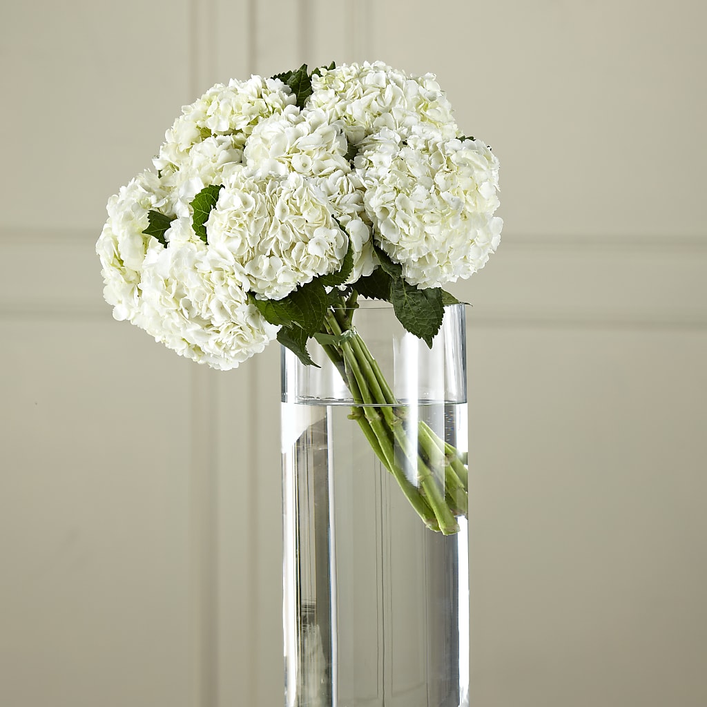 White Hydrangea Hand-Tied Bouquet – Nela Park Florist Llc, East Cleveland OH