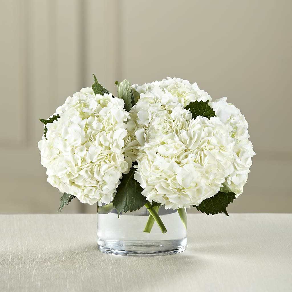White Hydrangea Bouquet – Nela Park Florist Llc, East Cleveland OH