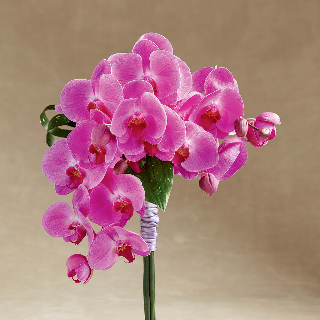 Glorious Bouquet – Nela Park Florist Llc, East Cleveland OH