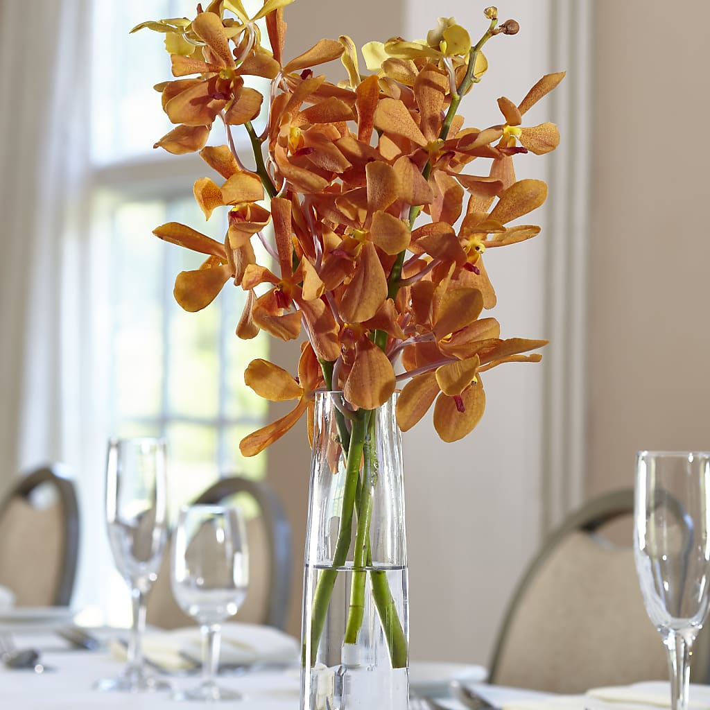 Orange Mokara Bud Vase – Nela Park Florist Llc, East Cleveland OH