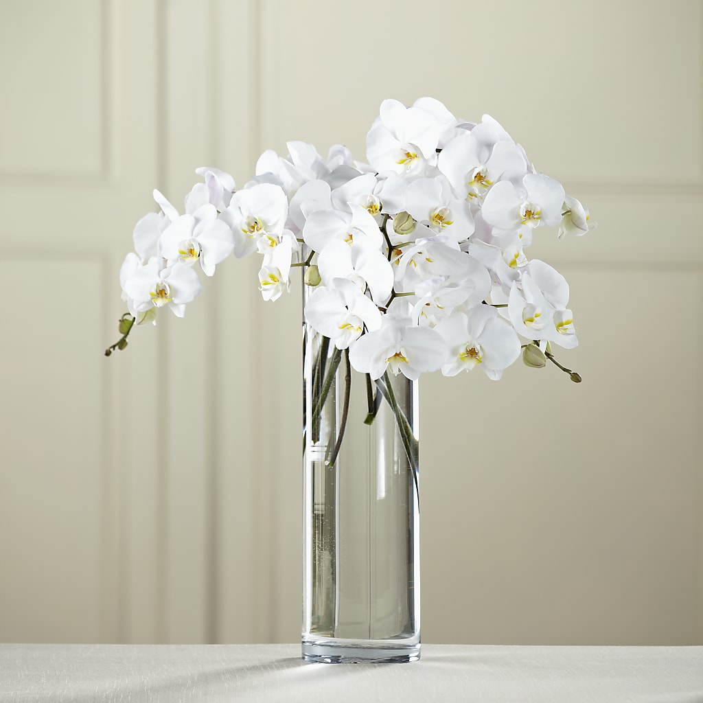 White Phalaenopsis Bouquet – Nela Park Florist Llc, East Cleveland OH