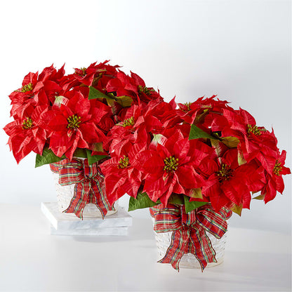 Happiest Holidays Poinsettia Bundle –  Nela Park Florist Llc, East Cleveland OH