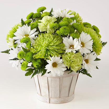 Lucky Charm Basket (Standard) –  Nela Park Florist Llc, East Cleveland OH