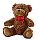 Adorable Plush Bear –  Nela Park Florist Llc, East Cleveland OH