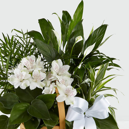 Peace & Serenity Dishgarden –  Nela Park Florist Llc, East Cleveland OH
