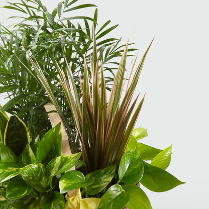 French Garden –  Nela Park Florist Llc, East Cleveland OH