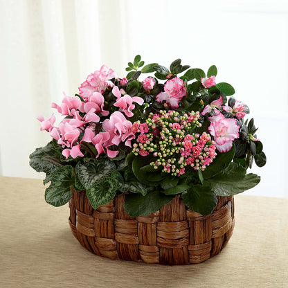 Pink Assortment –  Nela Park Florist Llc, East Cleveland OH