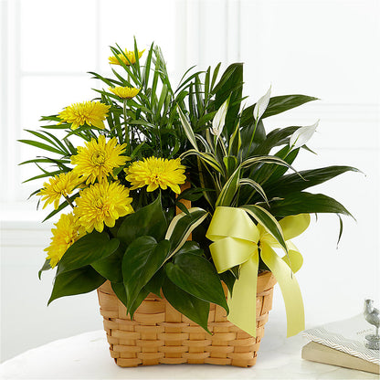 Loving Light Dishgarden –  Nela Park Florist Llc, East Cleveland OH