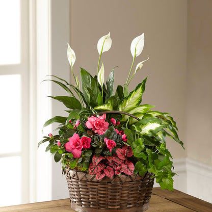 Dream in Pink Dishgarden –  Nela Park Florist Llc, East Cleveland OH