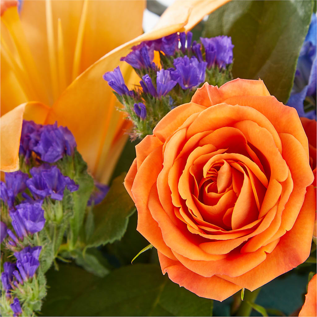 Radiant Citrus Box Bouquet –  Nela Park Florist Llc, East Cleveland OH