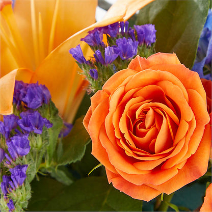 Radiant Citrus Box Bouquet –  Nela Park Florist Llc, East Cleveland OH