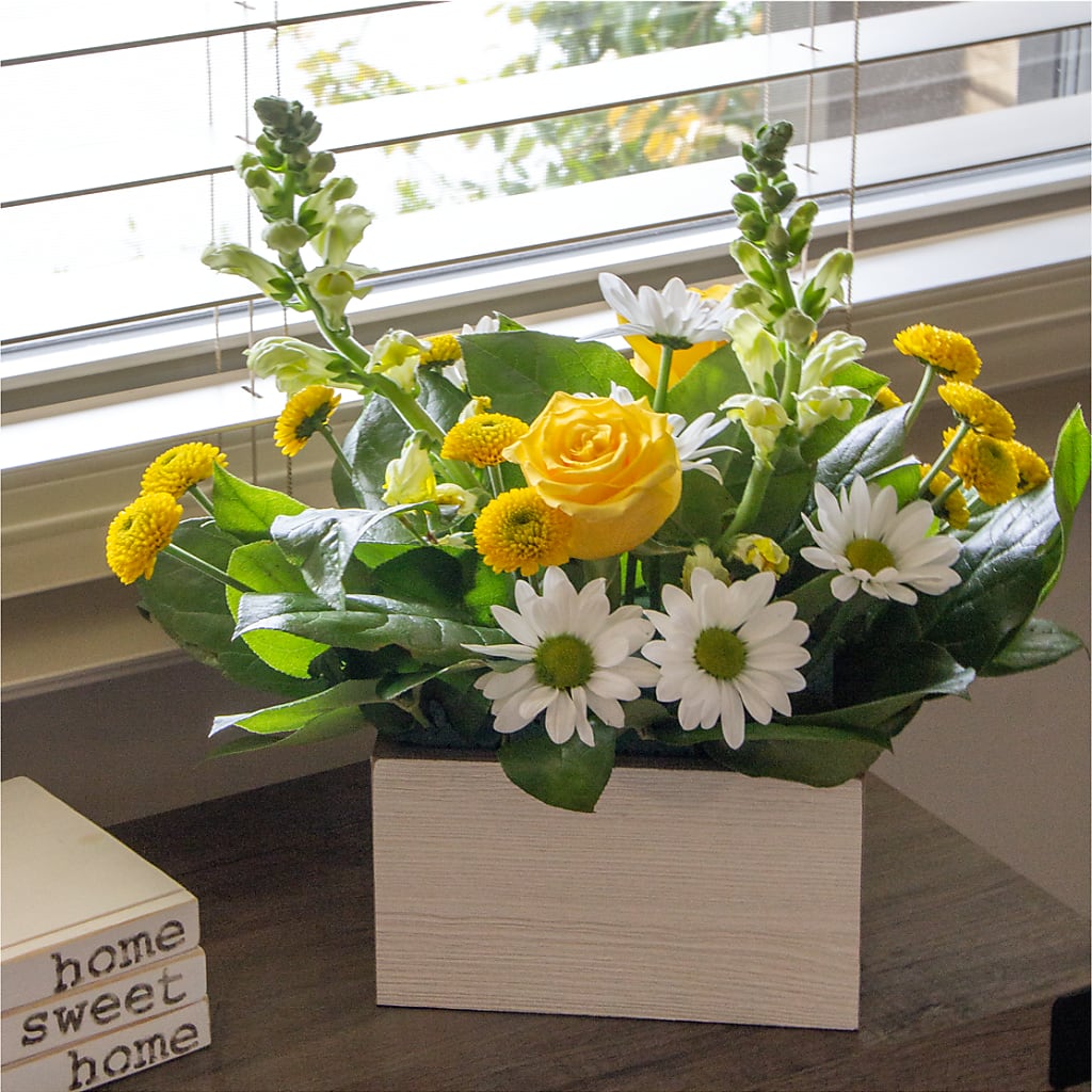 Sun Salutation Box Bouquet –  Nela Park Florist Llc, East Cleveland OH