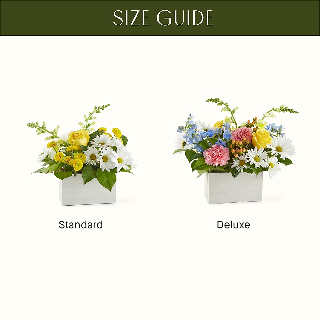 Sun Salutation Box Bouquet –  Nela Park Florist Llc, East Cleveland OH
