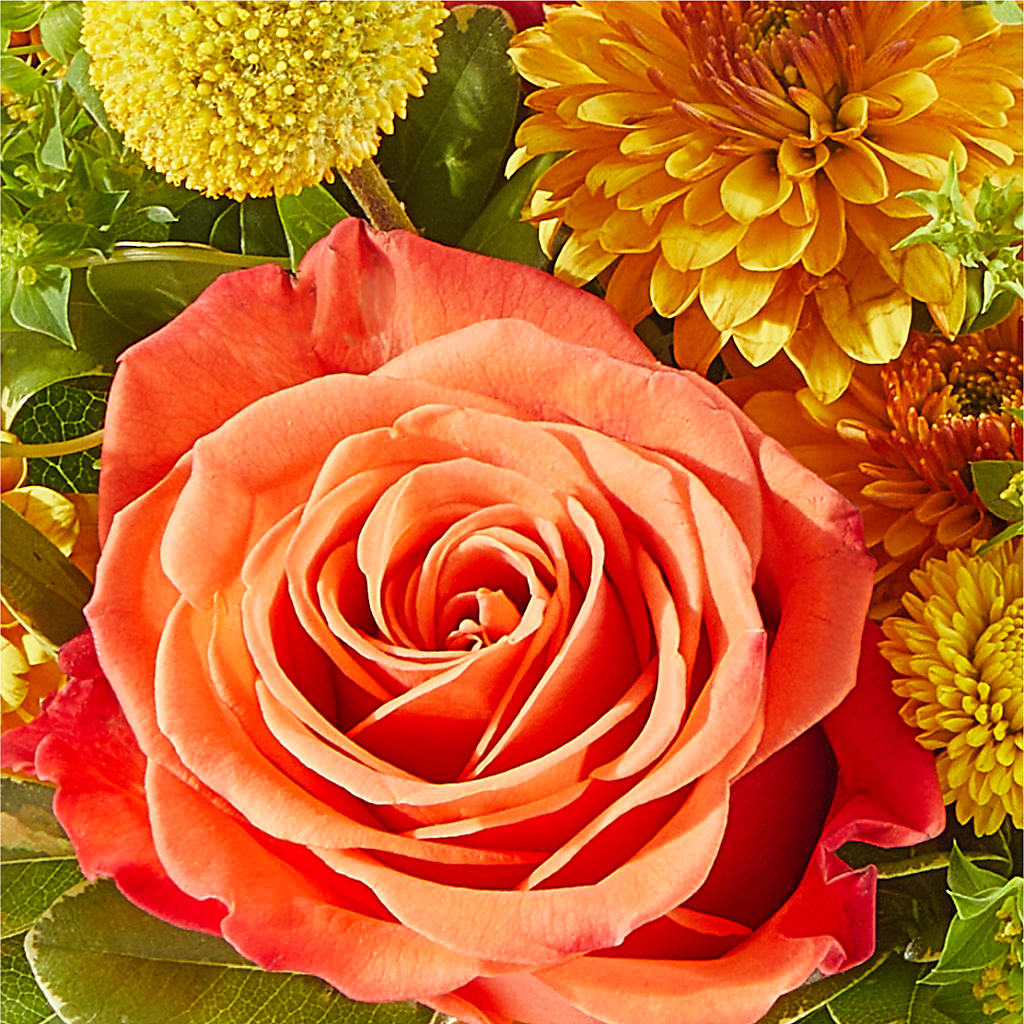Gourdgeous Pumpkin –  Nela Park Florist Llc, East Cleveland OH