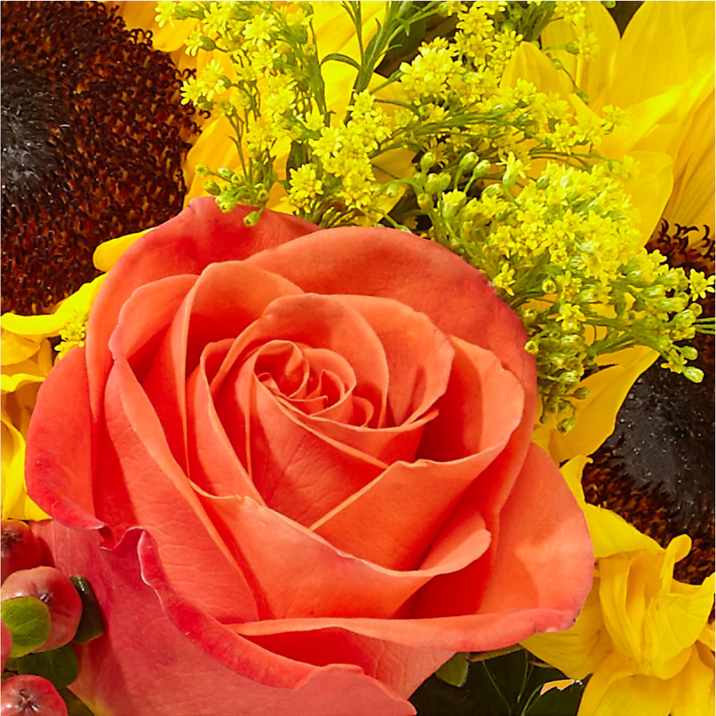 Pick of the Patch Pumpkin Bouquet –  Nela Park Florist Llc, East Cleveland OH