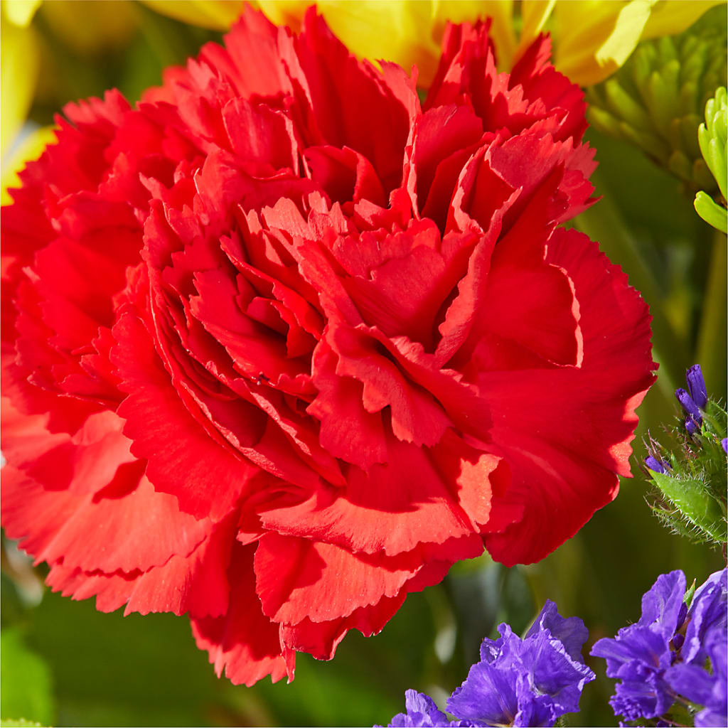 Brighter Days Bouquet –  Nela Park Florist Llc, East Cleveland OH