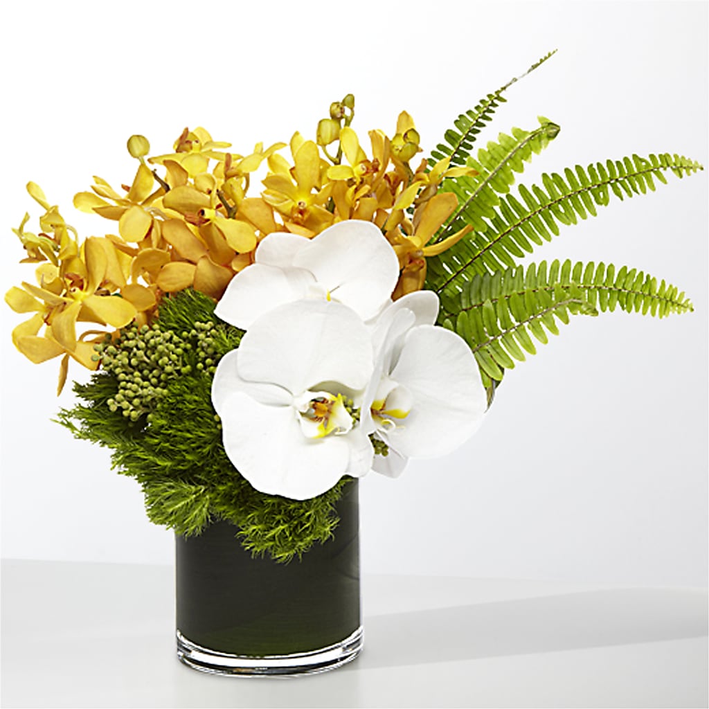 The Tropics –  Nela Park Florist Llc, East Cleveland OH