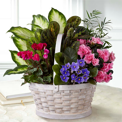 Peaceful Garden Planter –  Nela Park Florist Llc, East Cleveland OH