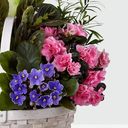 Peaceful Garden Planter –  Nela Park Florist Llc, East Cleveland OH