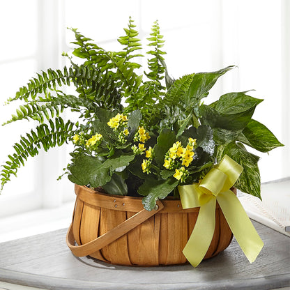 Always Dear Dishgarden –  Nela Park Florist Llc, East Cleveland OH