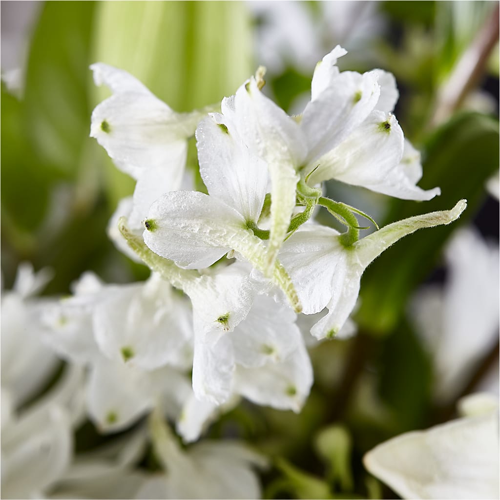 Classic Ivory – A Florist Original –  Nela Park Florist Llc, East Cleveland OH