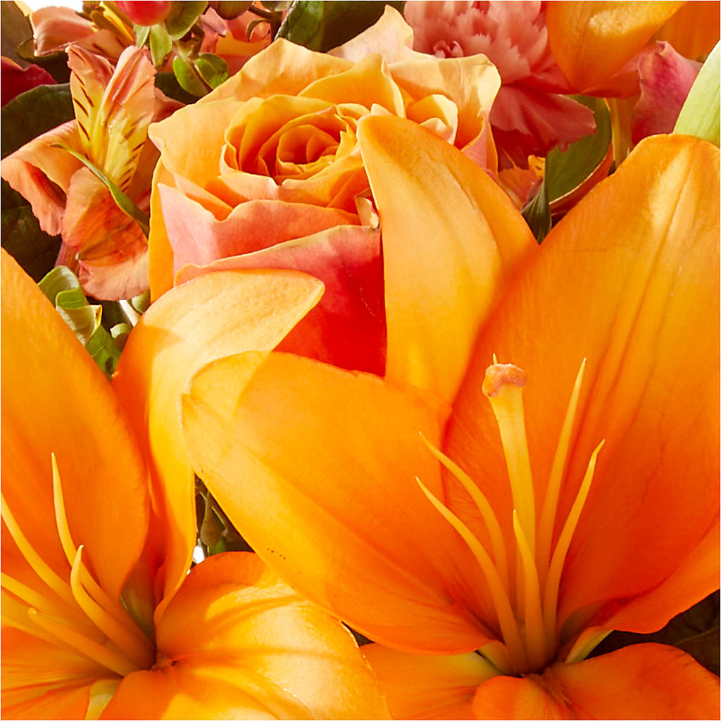 Afternoon Light Bouquet –  Nela Park Florist Llc, East Cleveland OH