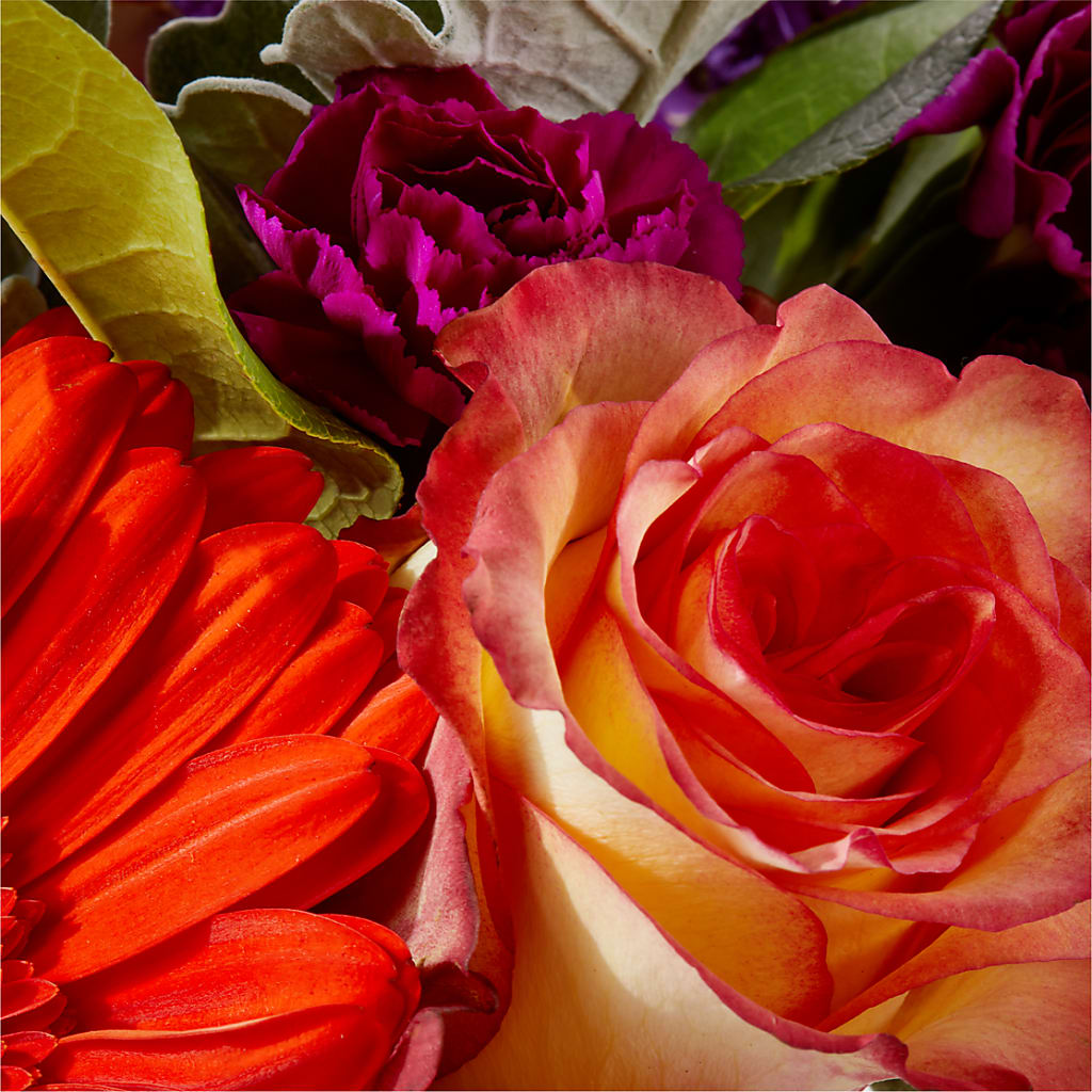 Sangria Bouquet –  Nela Park Florist Llc, East Cleveland OH