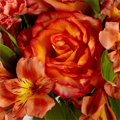 Apricot Glow Bouquet –  Nela Park Florist Llc, East Cleveland OH