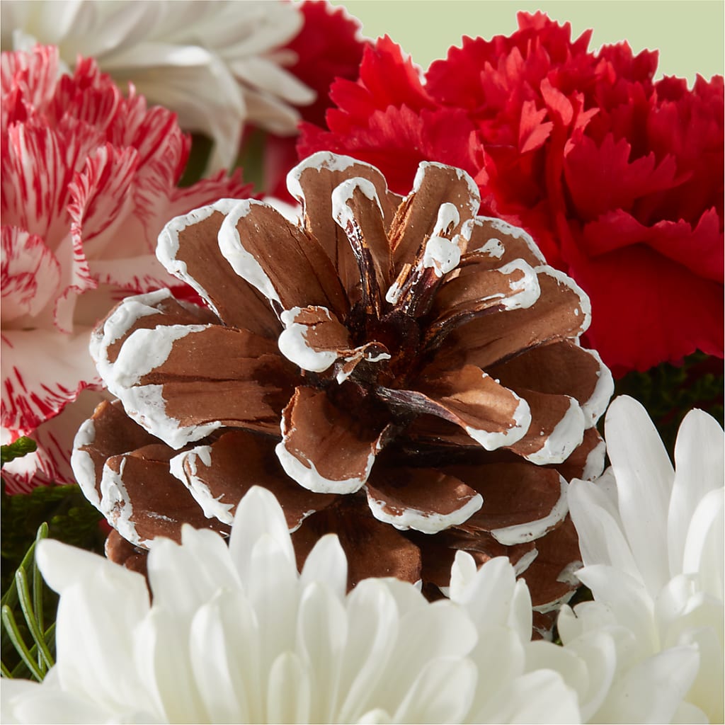 Candy Cane Lane Bouquet –  Nela Park Florist Llc, East Cleveland OH