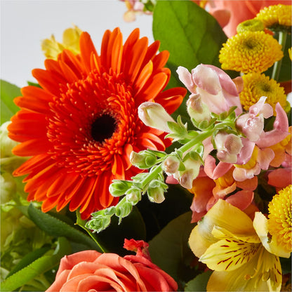 Autumn Sunshine Bouquet –  Nela Park Florist Llc, East Cleveland OH