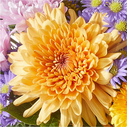 Countryside Bouquet –  Nela Park Florist Llc, East Cleveland OH