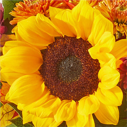 Sunny Side Bouquet –  Nela Park Florist Llc, East Cleveland OH