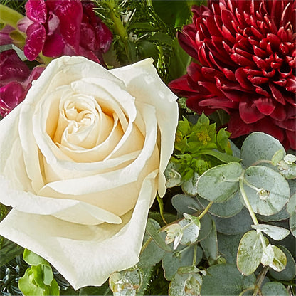 Cranberry Fizz Bouquet –  Nela Park Florist Llc, East Cleveland OH