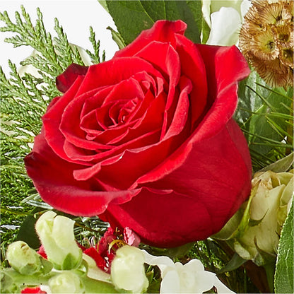 Deck the Halls Bouquet –  Nela Park Florist Llc, East Cleveland OH