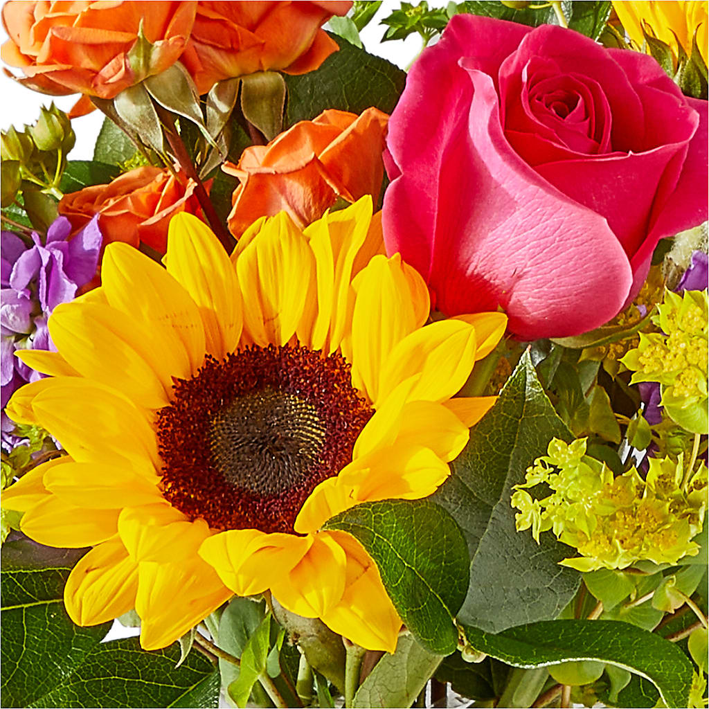 Vibrant Greetings Bouquet –  Nela Park Florist Llc, East Cleveland OH