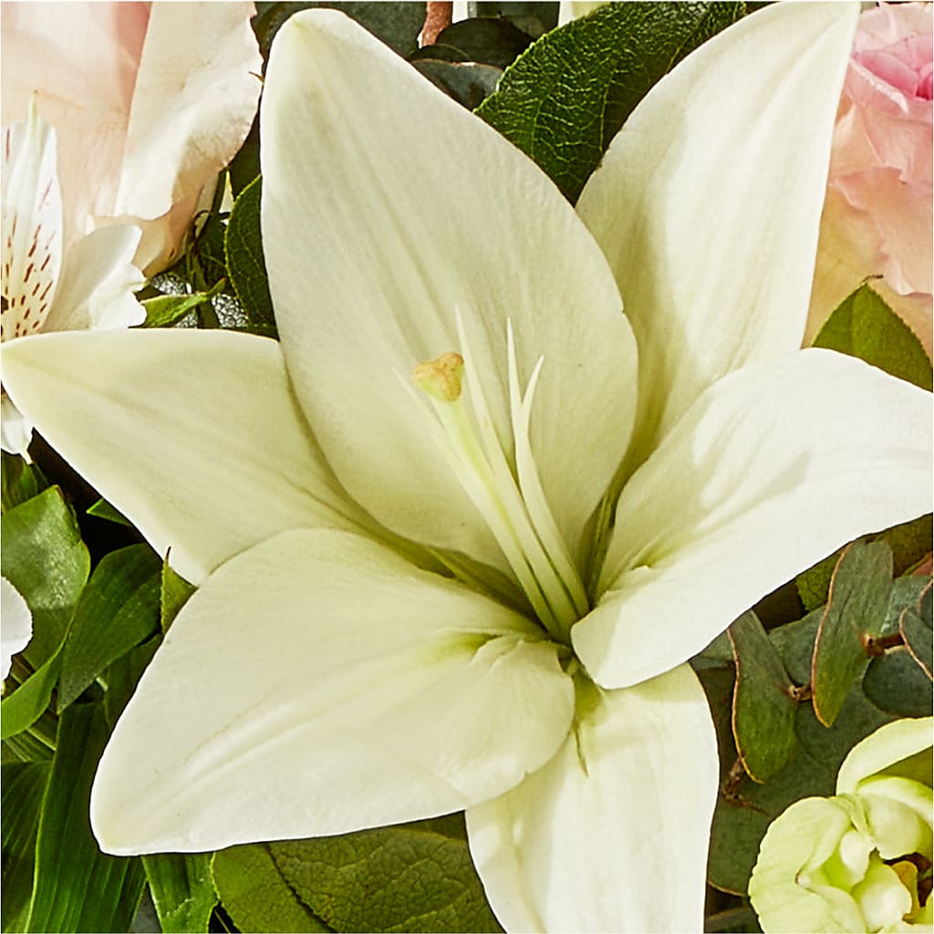 Ballet Slippers Bouquet –  Nela Park Florist Llc, East Cleveland OH