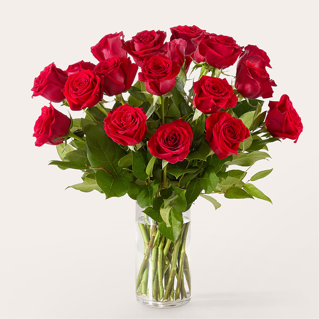 The One Red Rose Bouquet –  Nela Park Florist Llc, East Cleveland OH