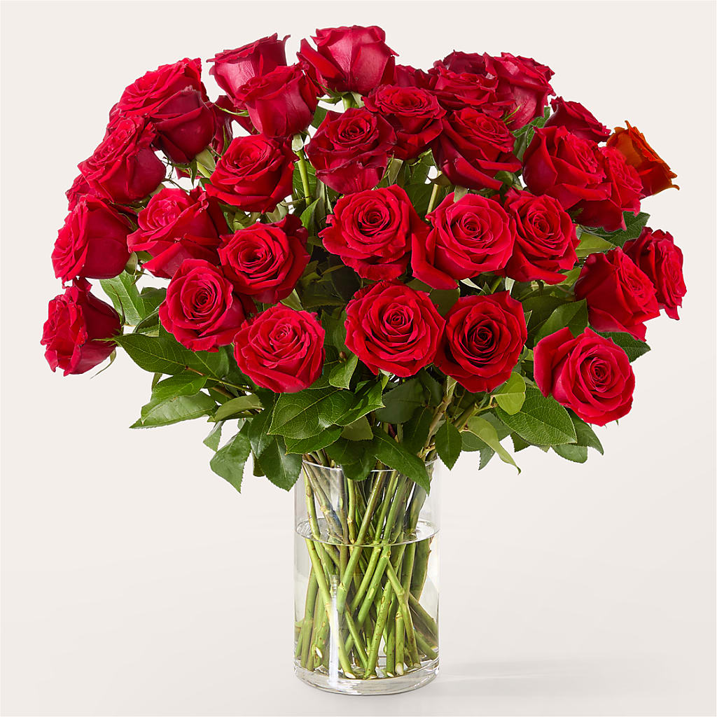 The One Red Rose Bouquet –  Nela Park Florist Llc, East Cleveland OH
