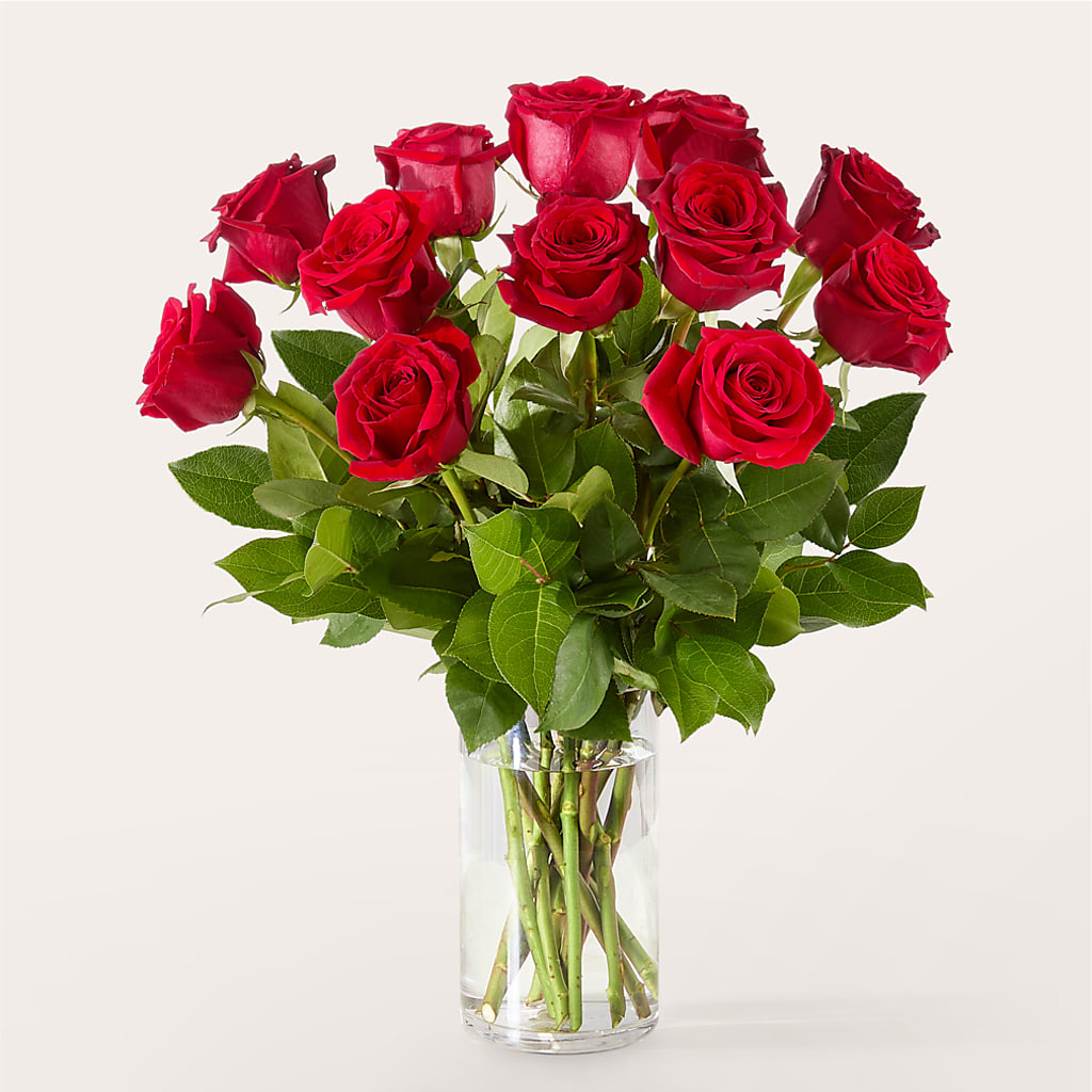 The One Red Rose Bouquet –  Nela Park Florist Llc, East Cleveland OH