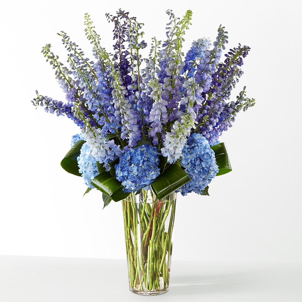 The Editorial –  Nela Park Florist Llc, East Cleveland OH