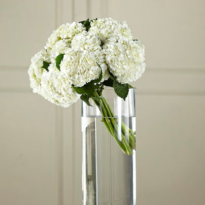 White Hydrangea Hand-Tied Bouquet –  Nela Park Florist Llc, East Cleveland OH