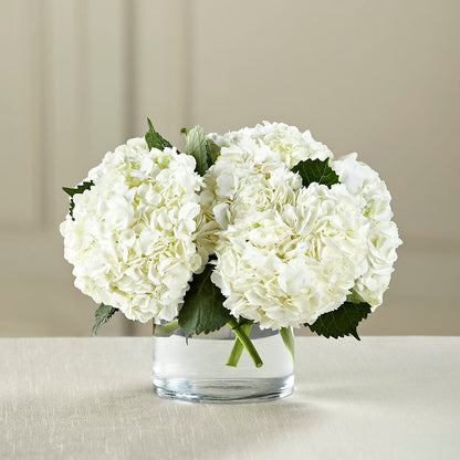 White Hydrangea Bouquet –  Nela Park Florist Llc, East Cleveland OH