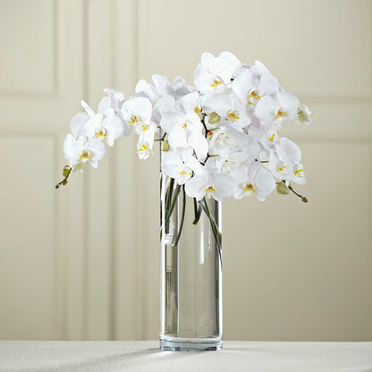 White Phalaenopsis Bouquet –  Nela Park Florist Llc, East Cleveland OH